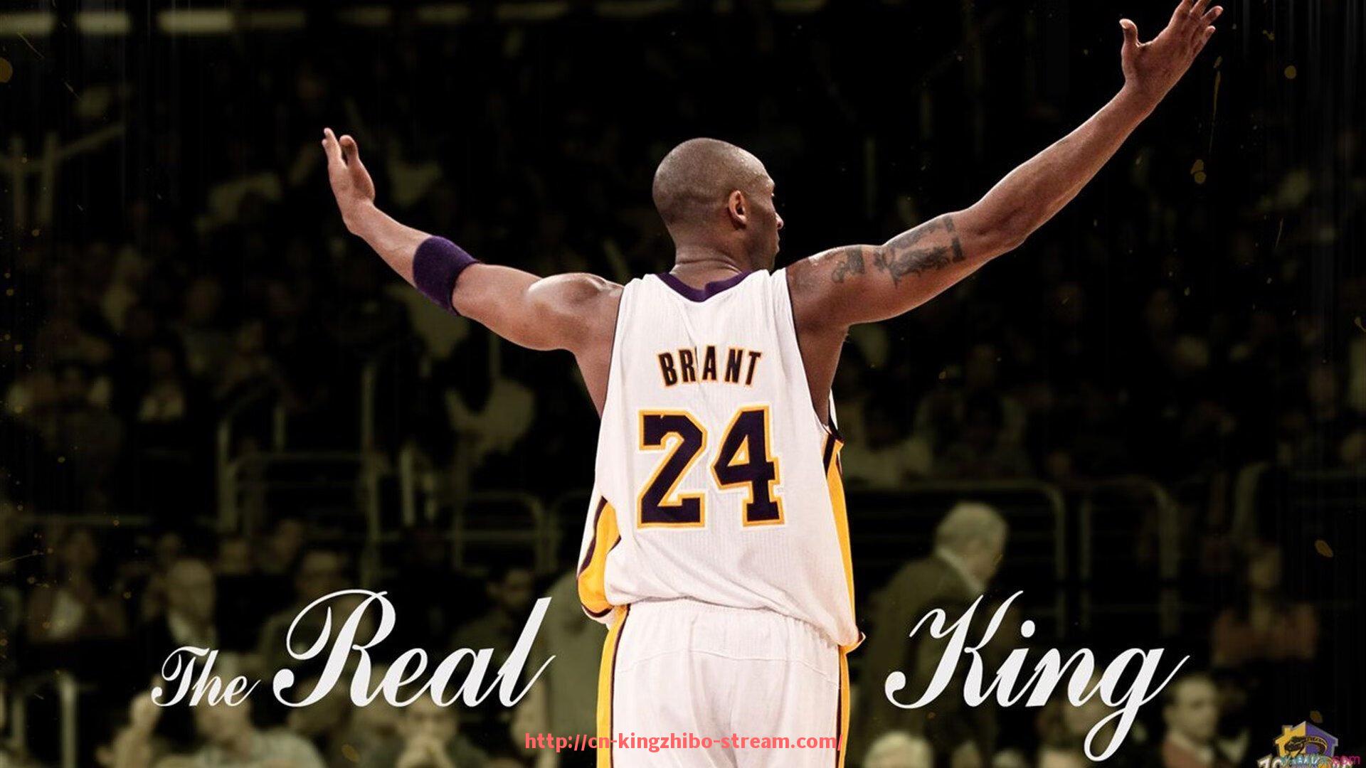 王者体育直播-法甲门将赛季扑救次数对比：守门员表现谁最稳定？